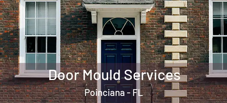 Door Mould Services Poinciana - FL