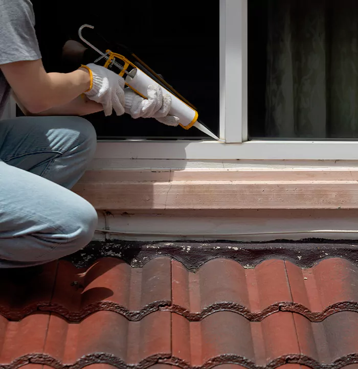 Roof Window Services in Poinciana, Florida