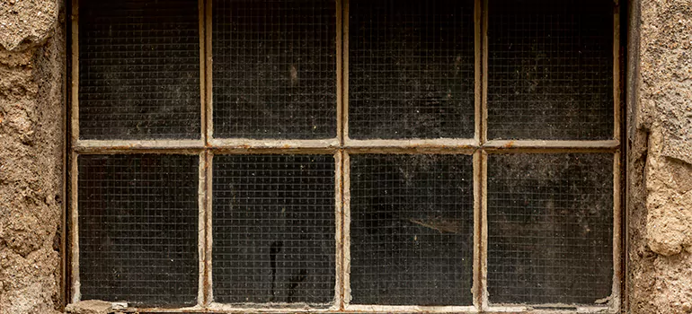 Traditional Double Front Doors in Poinciana, FL
