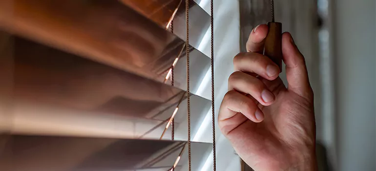 Double Roller Blinds in Poinciana, FL