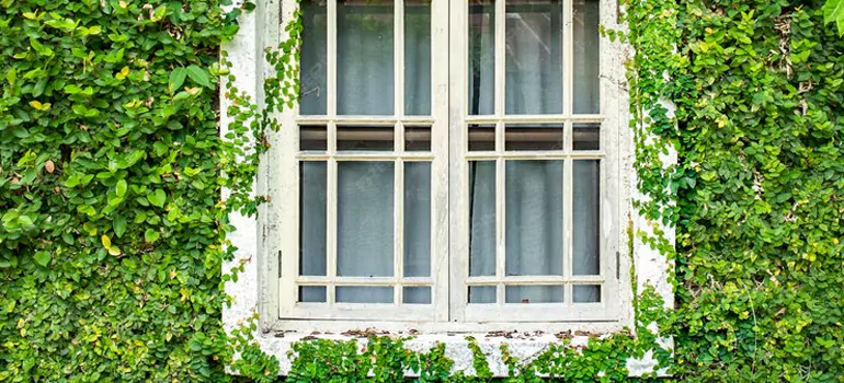 Garden Window Repair Near Me in Poinciana, FL