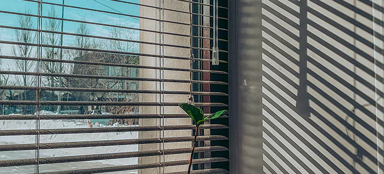 Commercial Window Blinds in Poinciana, FL