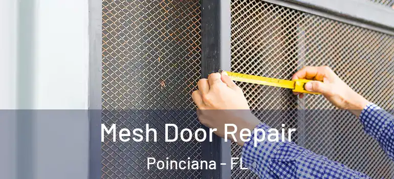 Mesh Door Repair Poinciana - FL