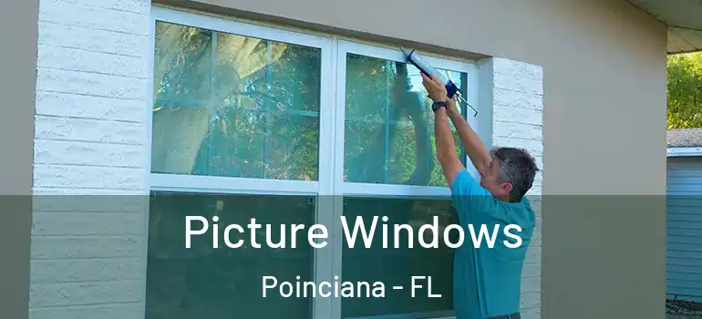 Picture Windows Poinciana - FL