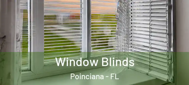 Window Blinds Poinciana - FL
