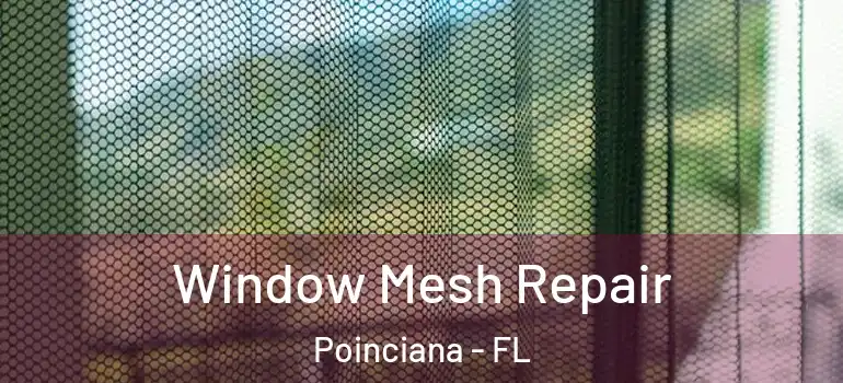 Window Mesh Repair Poinciana - FL