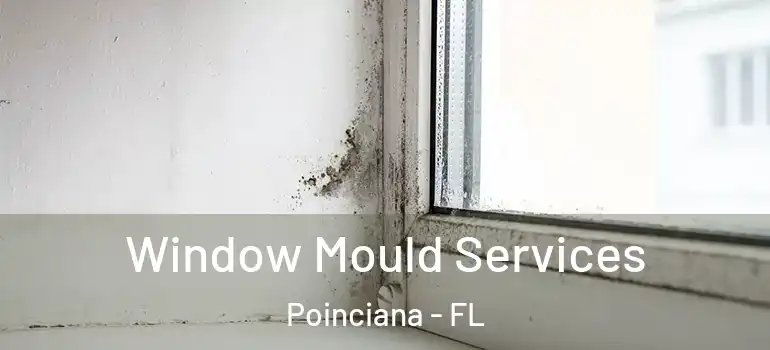 Window Mould Services Poinciana - FL