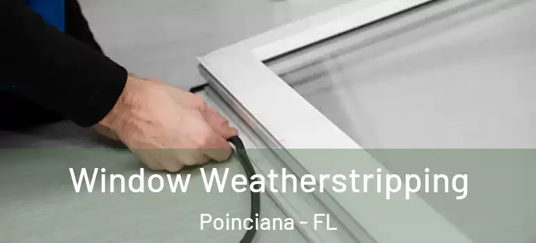 Window Weatherstripping Poinciana - FL